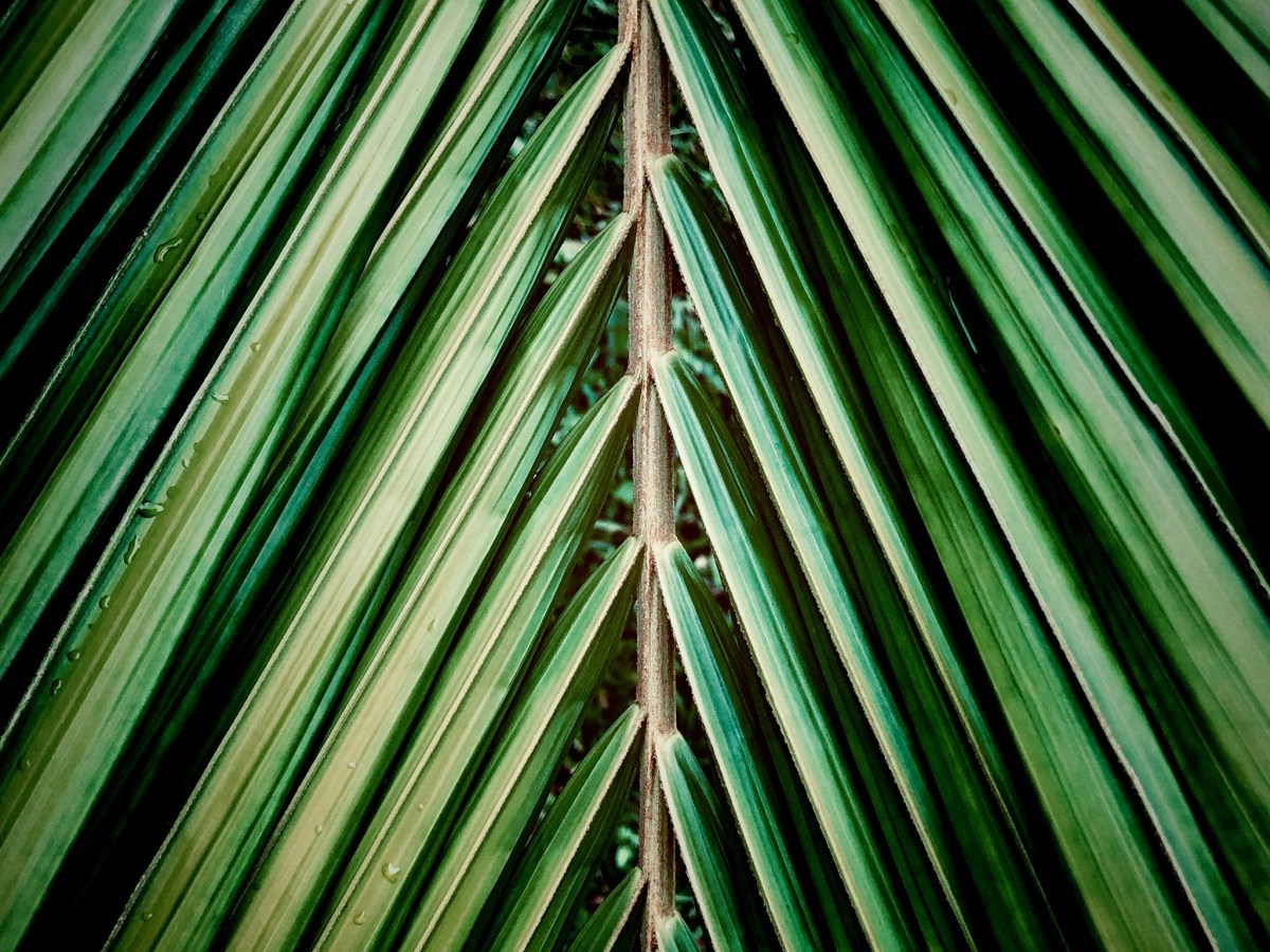 COP30: A foundation for climate security &&nbsp;prosperity