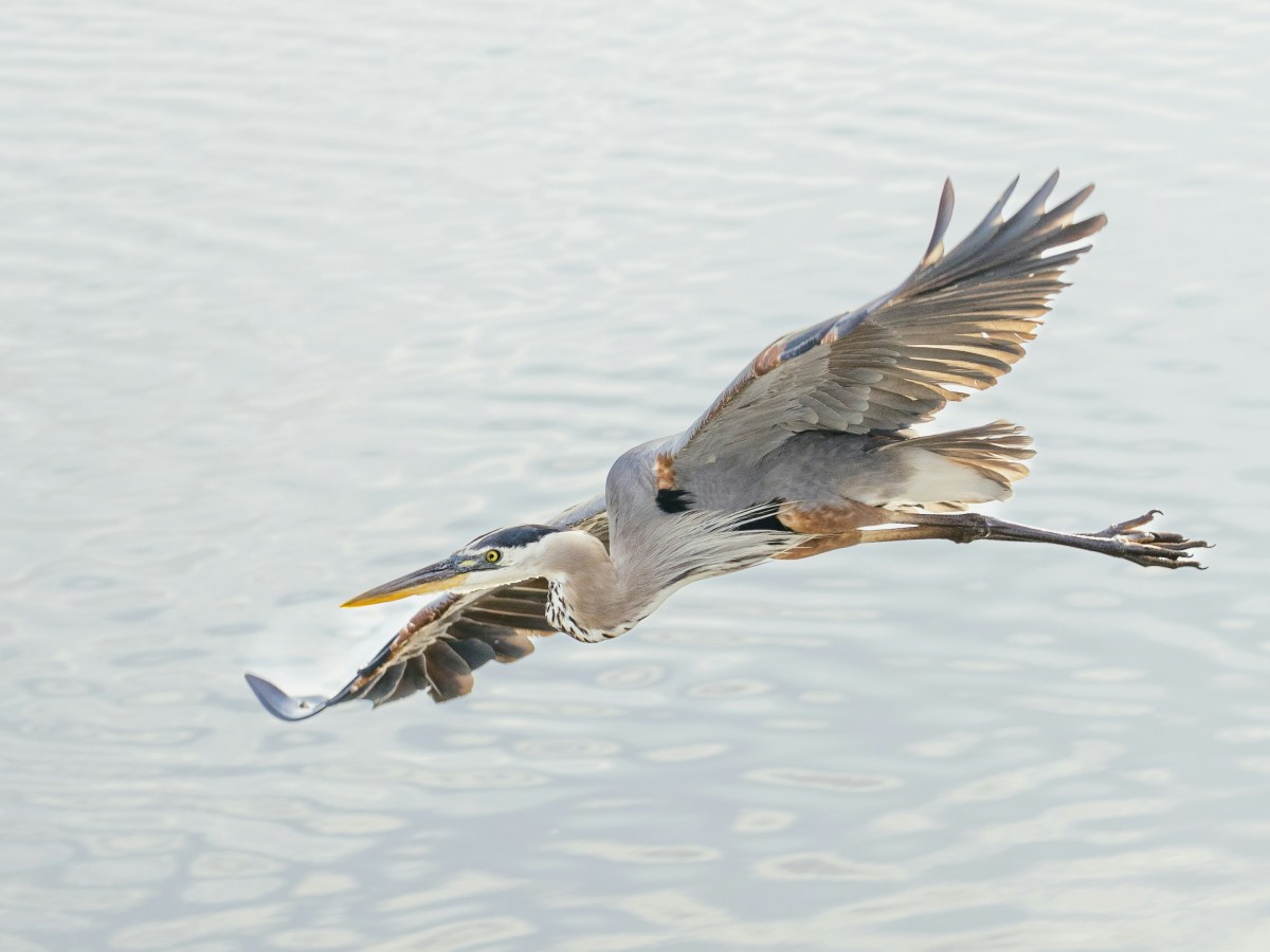 Zero harm is the transformational goal