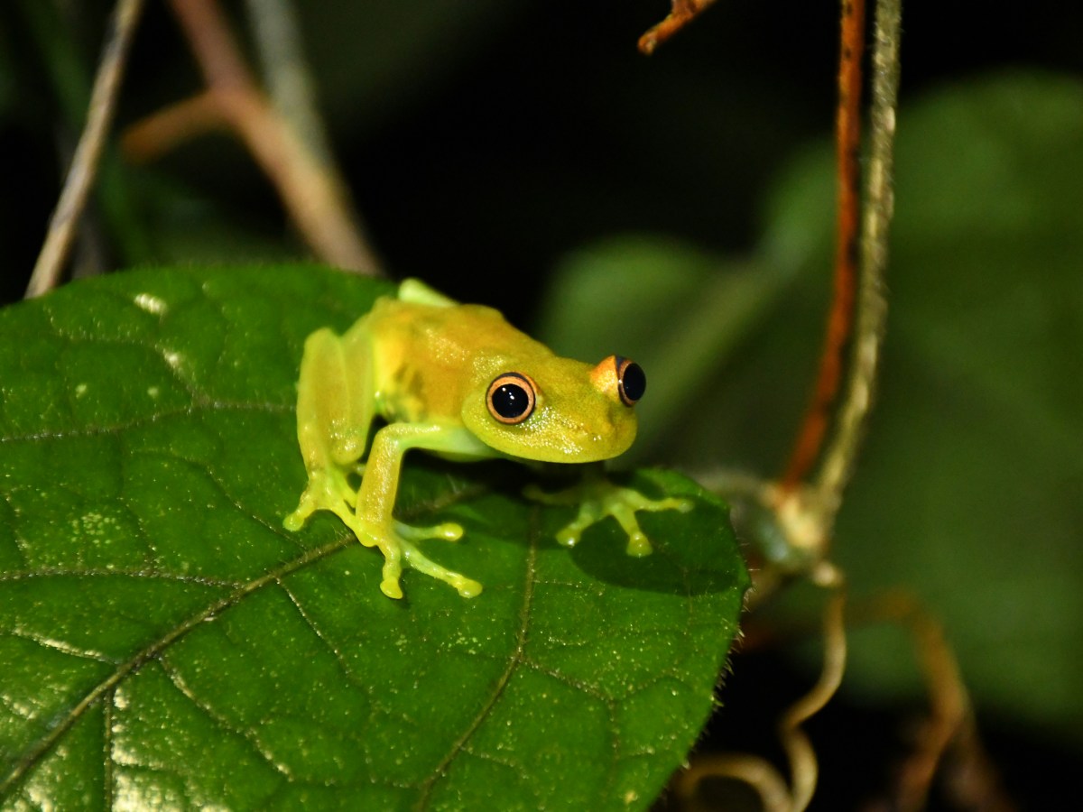 Information integrity is an economic & security&nbsp;imperative