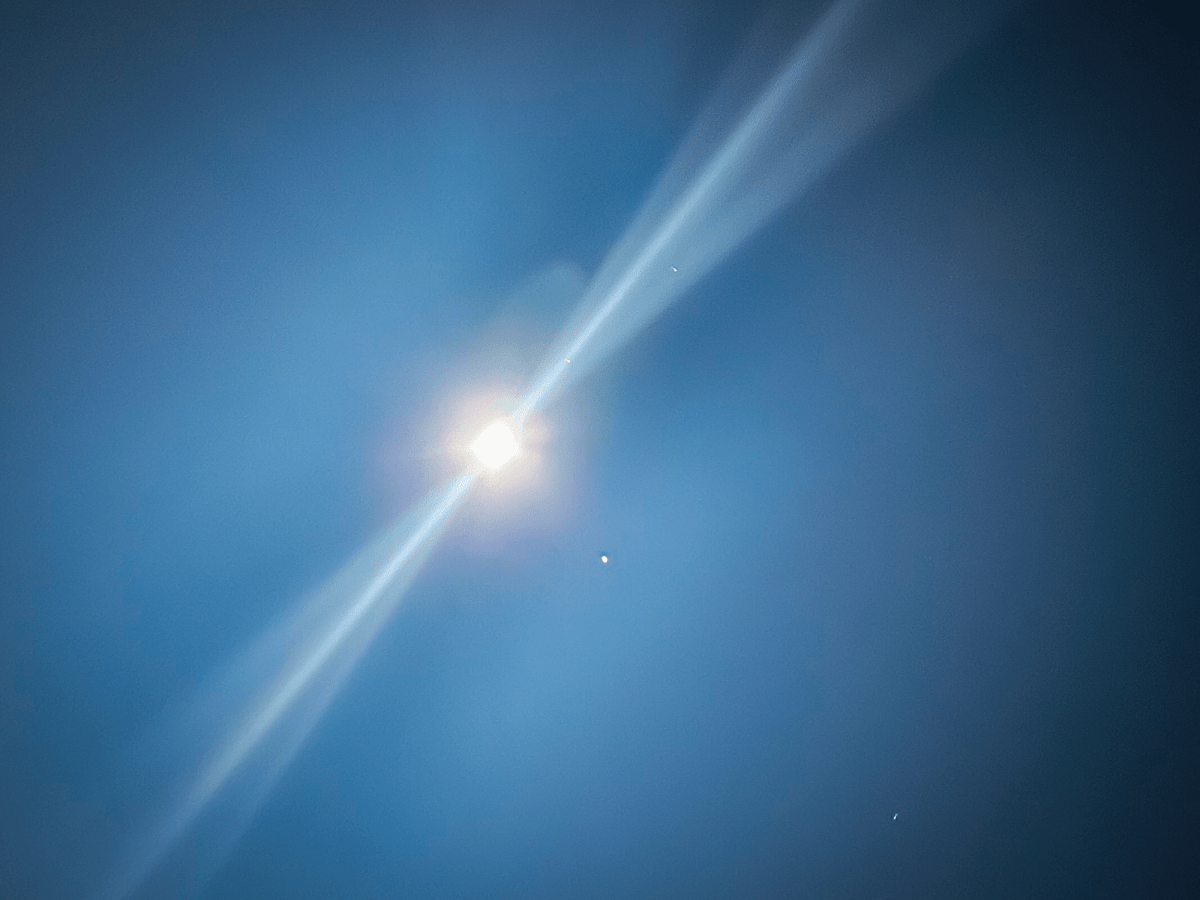 Outlook for 2026: Peace & prosperity need&nbsp;roots