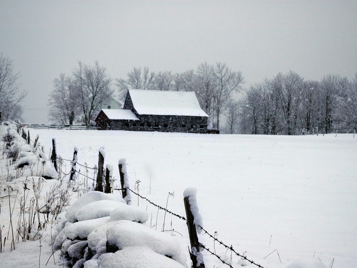 US farm economy heading toward collapse, says bipartisan&nbsp;group