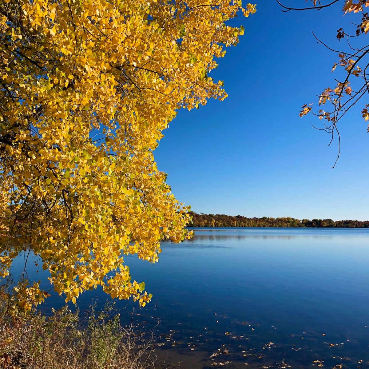 Nature is Life – and far-reaching&nbsp;responsibility