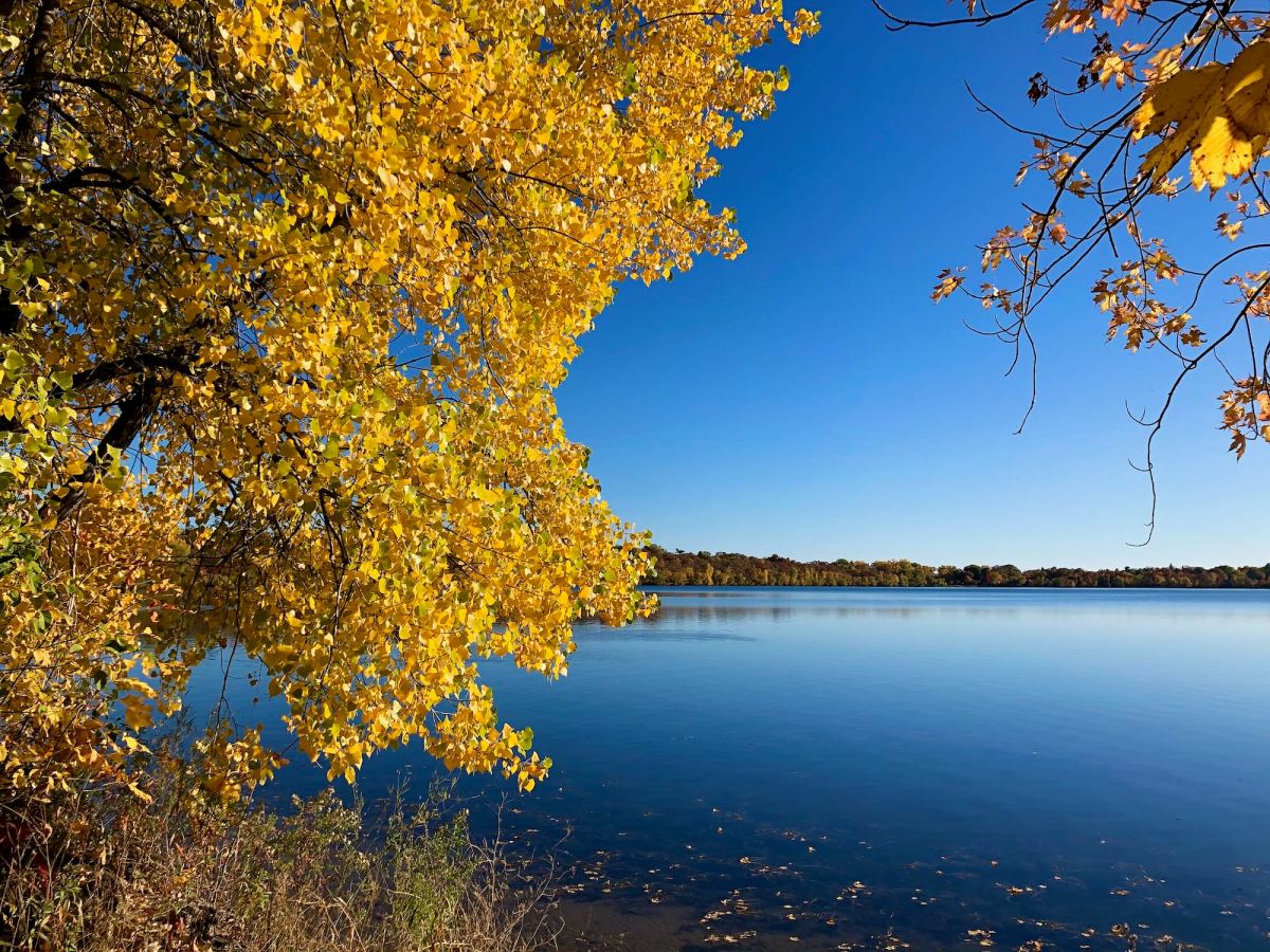Nature is Life – and far-reaching&nbsp;responsibility